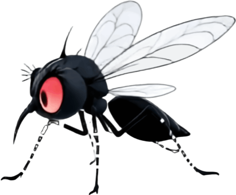 Angry mosquito